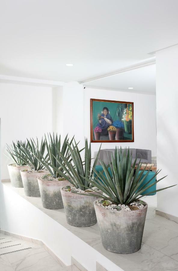 Circulo Condesa Mexiko-Stadt